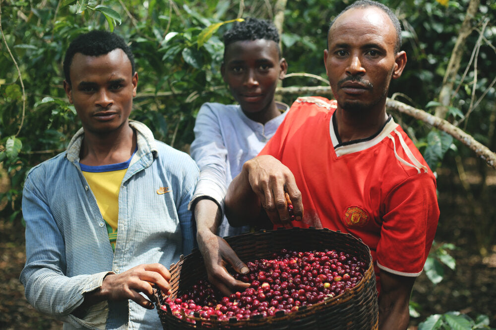 Worka Espresso