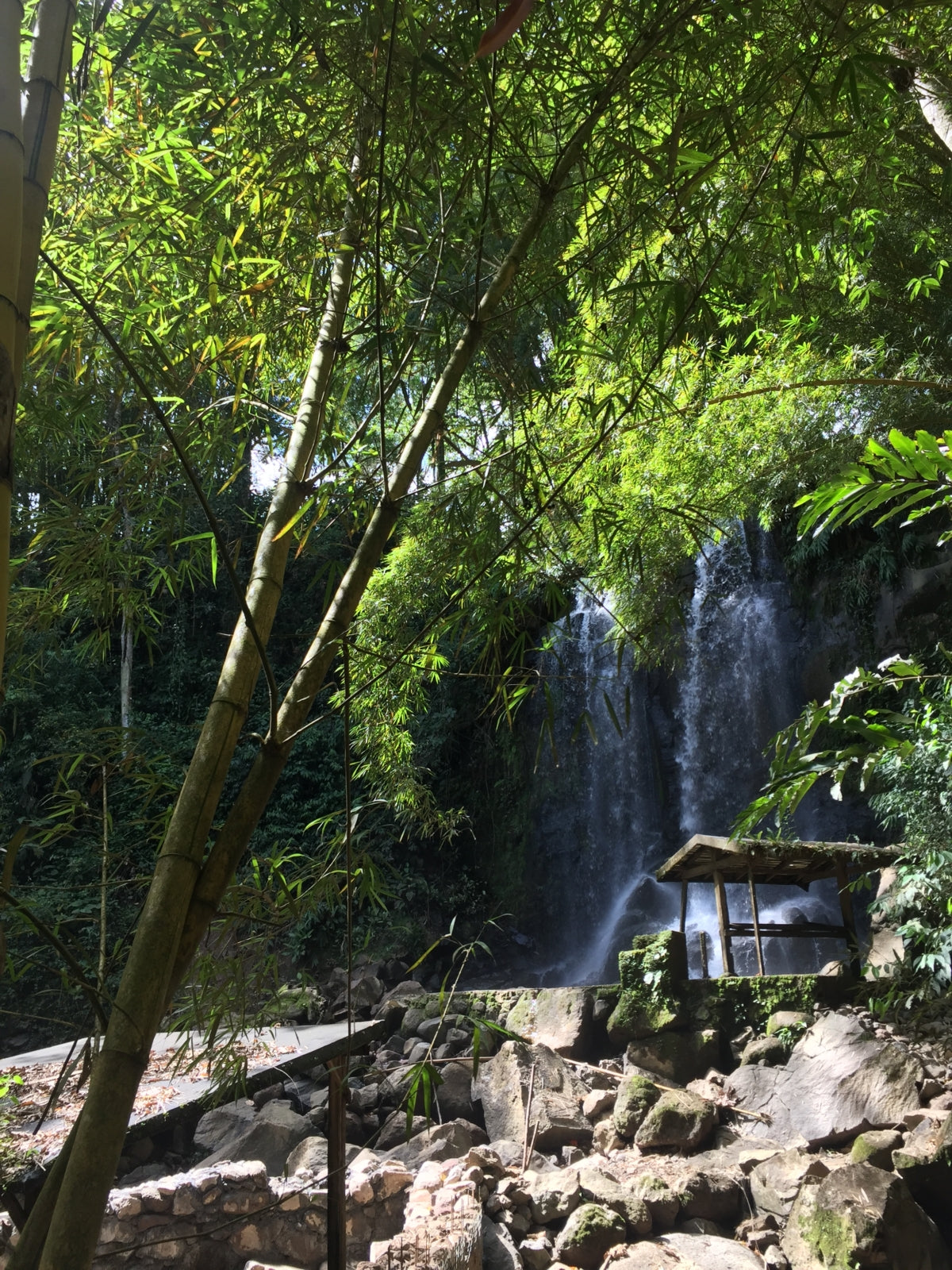 Weihnachtskaffee Filter