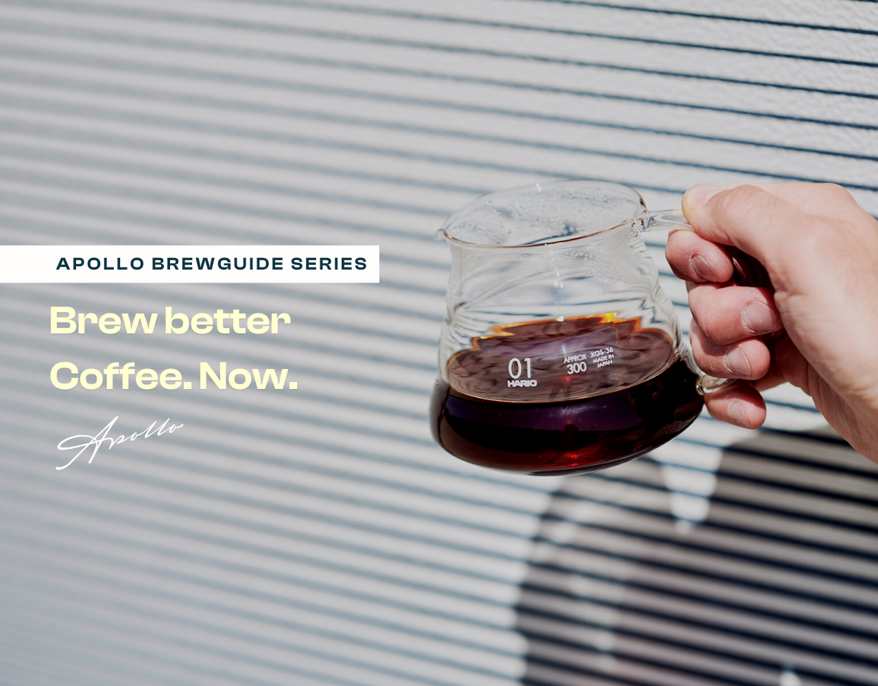 Apollo Coffee Roasters